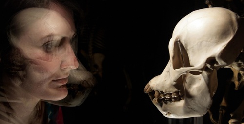 Darwinleonnealafpgetty