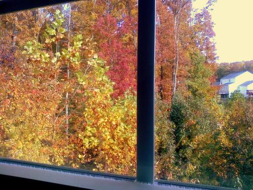 Fredericksburgvirginia10am