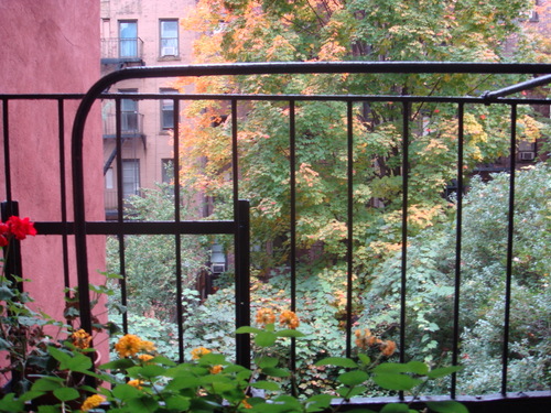 Hellskitchennewyorkcity145pm