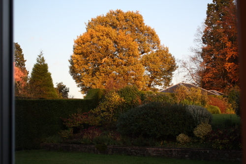 Newnhamonsevern_gloucestershire_uk_