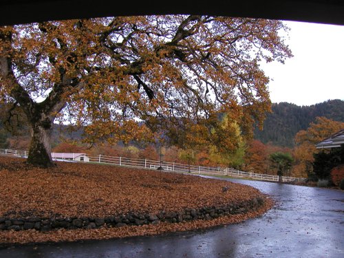 Rogue_riveroregon430pm