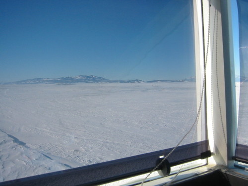 Rossiceshelfantarctica9am