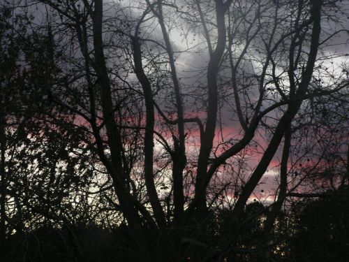 Gloucestervirginia510pm