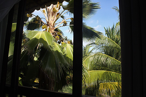 Somigueldosmilagresbrazil4pm