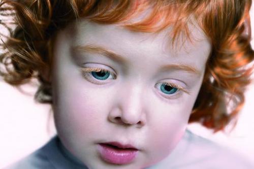 Phpthumb_generated_thumbnailjpg