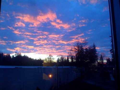 Tigardor7am
