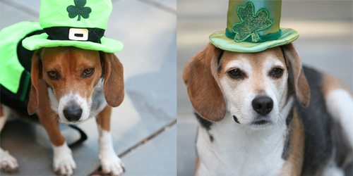 6a0112790543e828a401127971663828a48