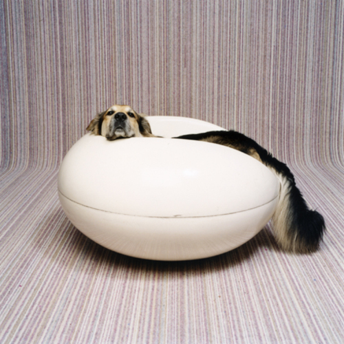 Jacob_in_pvc_stoel_2004