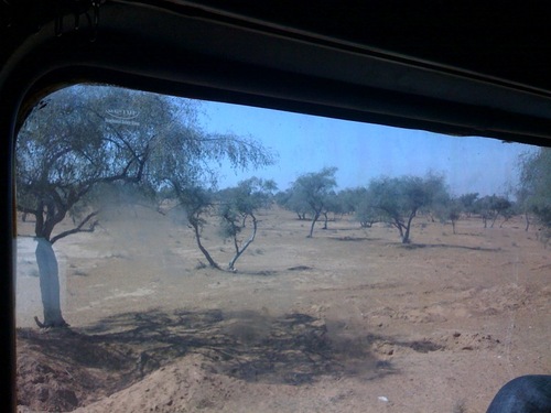 Jaisalmerrajasthanindia1pm