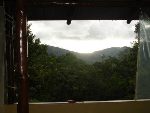 Tinamaste-costa-rica-10am-2