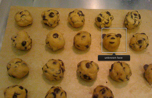 3394938199_264a20eced