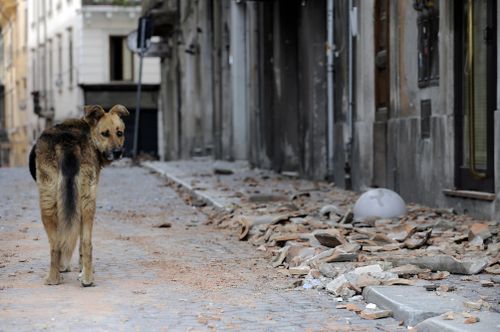 PLUTOFilippoMonteforte:AFP:Getty