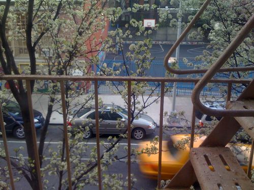 199-new-york-NY-930am