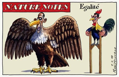 Peter-Brookes_515186a