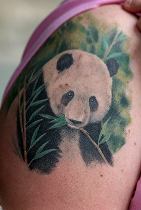 Panda-tattoo