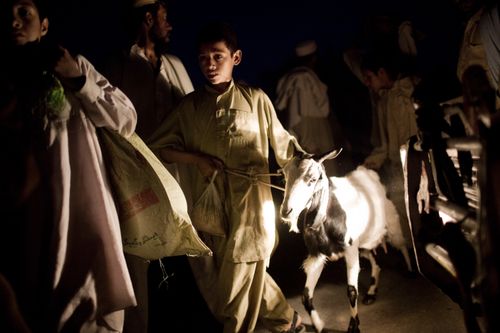 BUNERDanielBerehulak:Getty