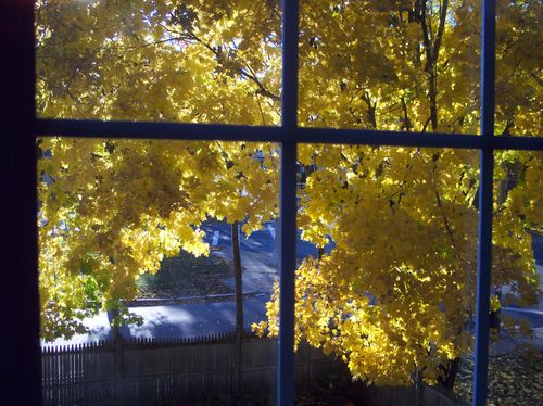 West-roxbury-MA-240pm