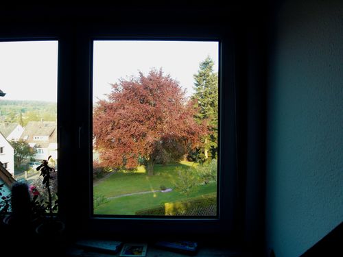 Friedrichsdorf-hesse-germany-8am