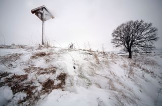 CROSSINWINTERJohannes Simon:Getty