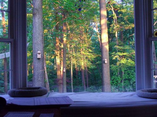 Fairfax-Virginia-6-15AM