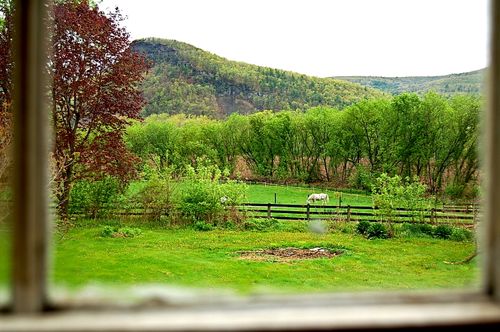 Middleburgh-NY-830am