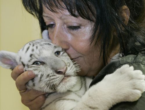 TIGERJensSchlueter:AFP:Getty