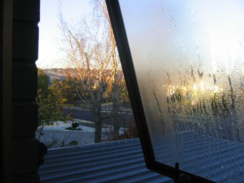 Howick-auckland-newzealand-845am