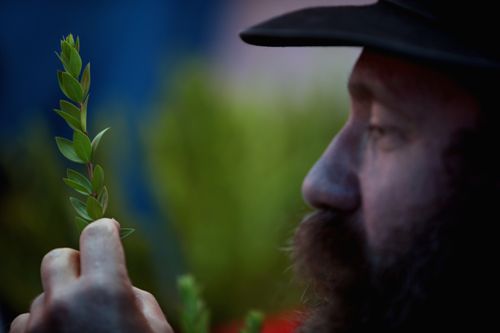 HADASDavidSilverman:Getty