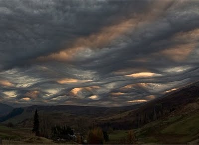 Asperatus_cloud_07