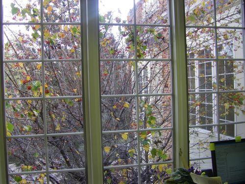 Bloomingfield-hills-MI-336pm