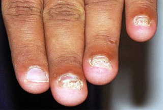 Dastmalchi20091124183931171