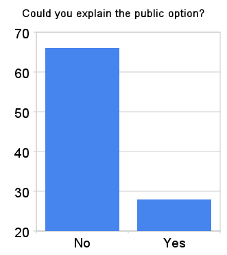 Could_you_explain_the_public_option?