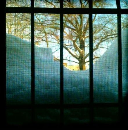 6a00d83451c45669e20120a7739fba970b-500wi