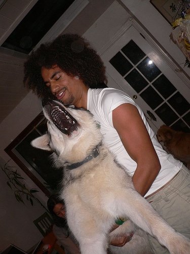 Tumblr_kvsxjvBghT1qa266eo1_400