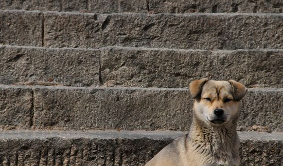 4427393961_c9ebabc3fd_b