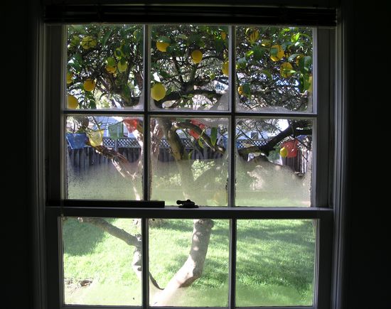 Mountain-view-CA-9am