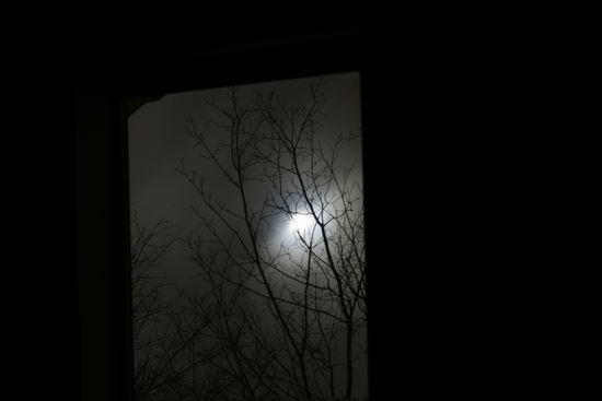 Goldens-bridge-NY-141am