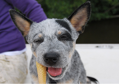 Enhanced-buzz-3742-1269364968-1