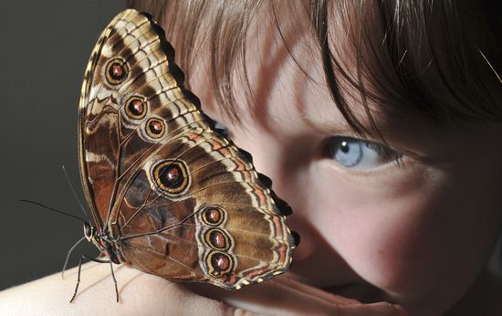 EttieWooldridgeLeonNealGetty