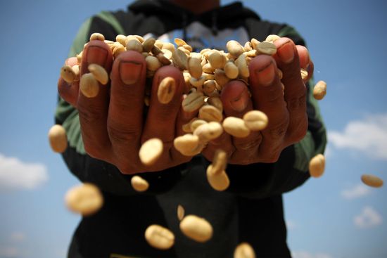 ExpensiveCoffeeGetty