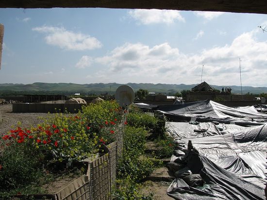 Aa6a00d83451c45669e20134802b8a4f970c-550wi