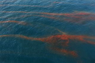 SPILLJohnMoore:Getty