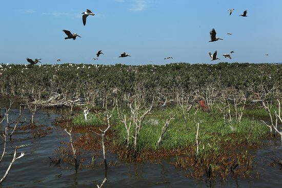 BARATARIAJohnMoore:Getty