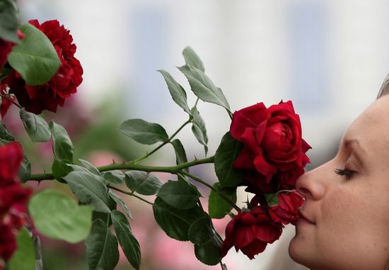 WomanDanKitwoodGettyImage3