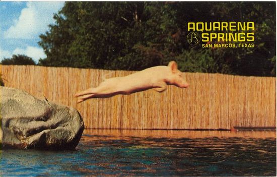 Tumblr_l0u2niMJDV1qbyf2jo1_1280