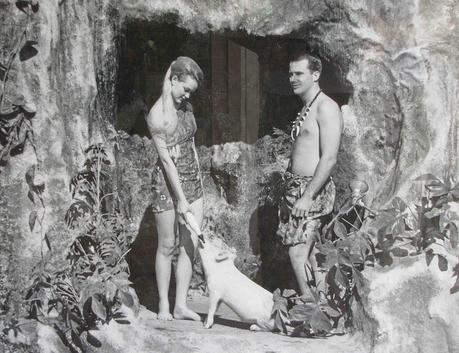 Ralph the swimming pig on Flickr - Photo Sharing!_1274906851839