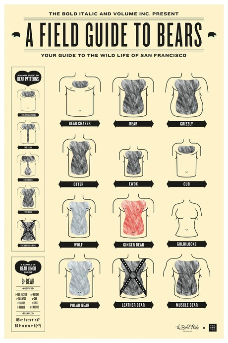 6a00d8341c730253ef0133f1a57321970b