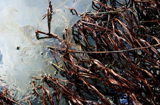 OilSeanGardnerGettyImages