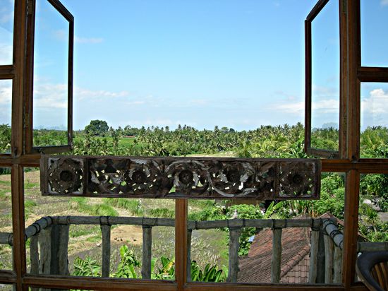 Ubud-bali-indonesia-1230pm