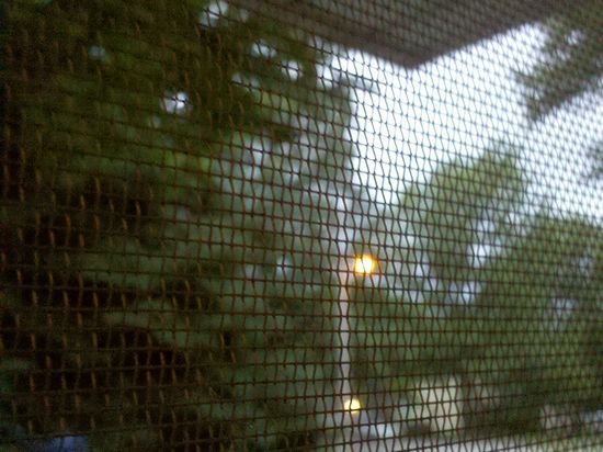 Lees-summit-MO-830pm